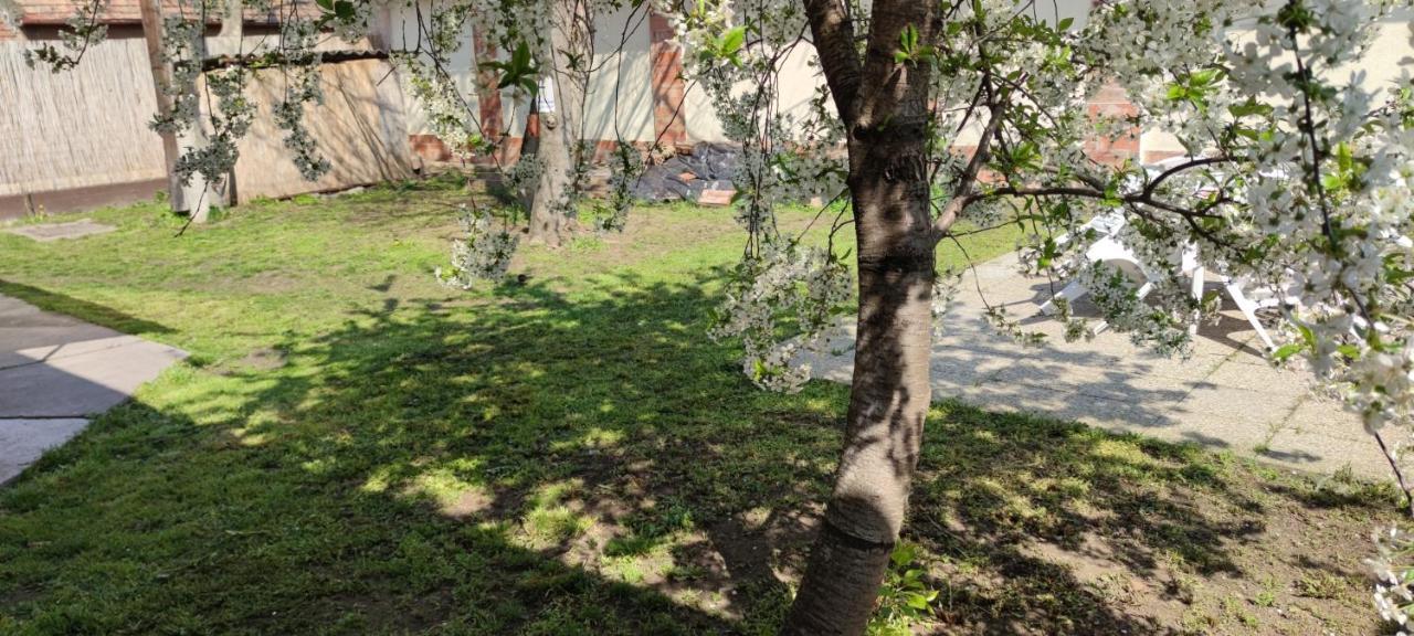 קצ'קמט Orsi Apartman / Vendeghaz מראה חיצוני תמונה