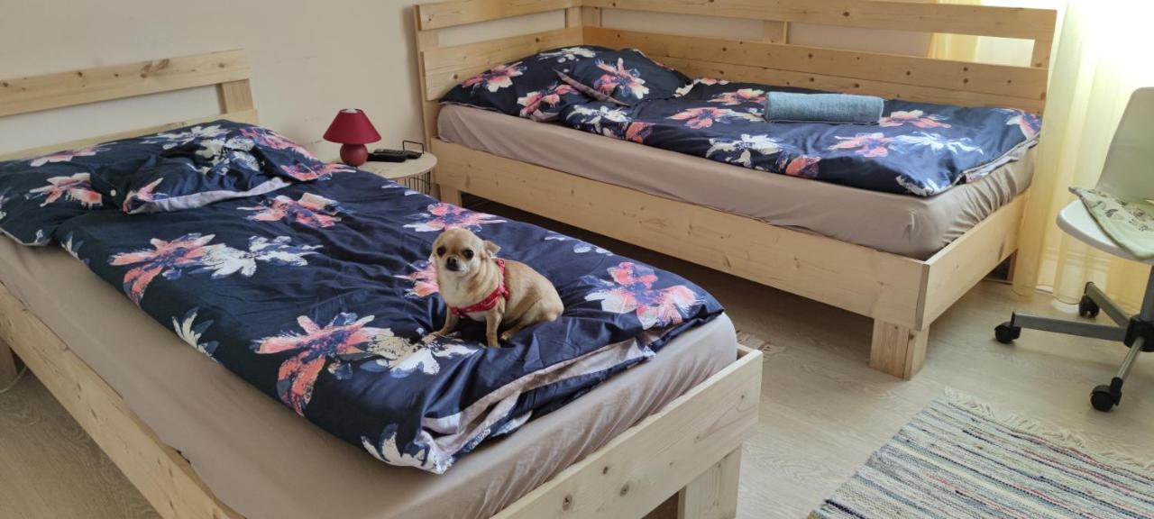 קצ'קמט Orsi Apartman / Vendeghaz מראה חיצוני תמונה